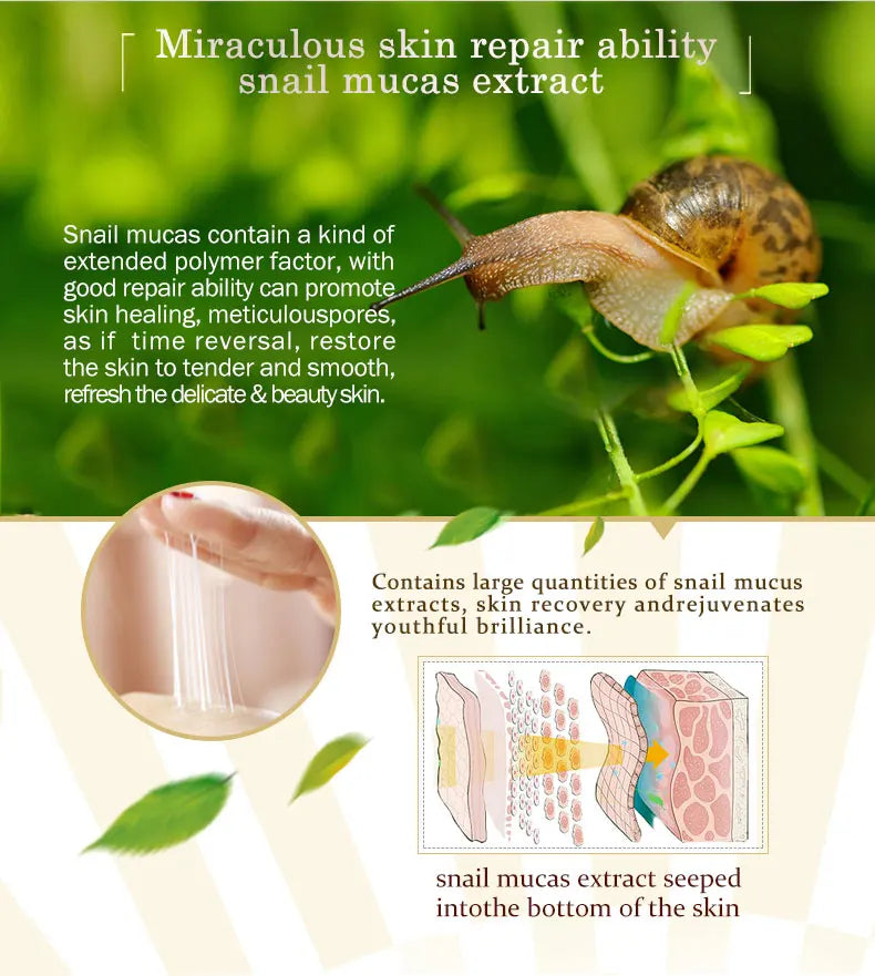 ARTISCARE Snail Facial Cream + Peptide Eye Serum + Golden Eye Cream Face Care Dark Circles Skin Care