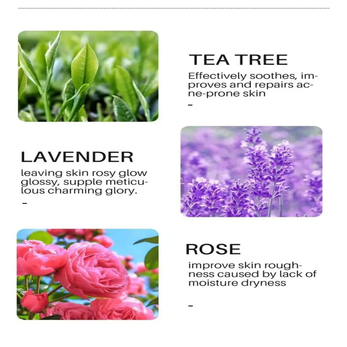 Tea tree essential oil, firm the skin, refreshing and not dry, moisturizing the skin